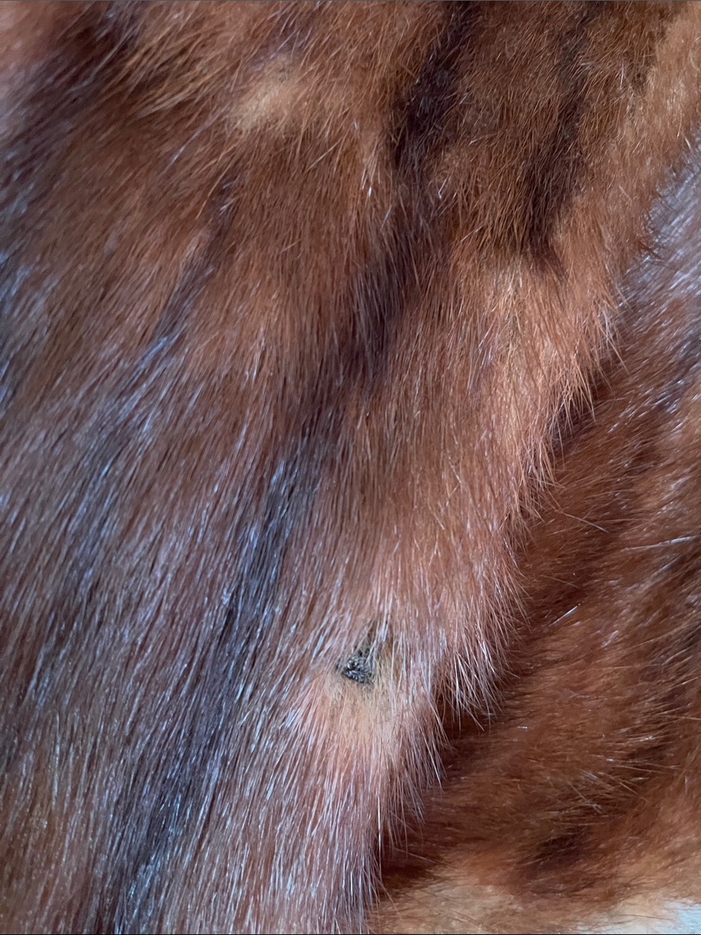 Vintage-1940-1950 Mink Fur Stole Wrap - Picture 10 of 16